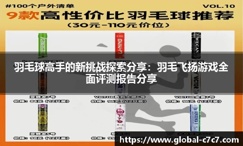 羽毛球高手的新挑战探索分享：羽毛飞扬游戏全面评测报告分享