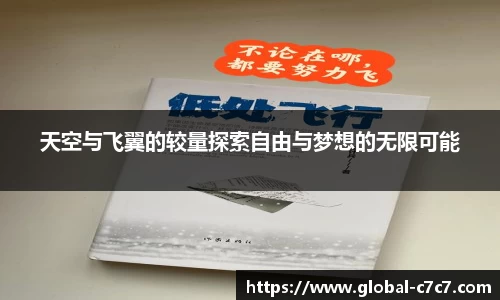 天空与飞翼的较量探索自由与梦想的无限可能